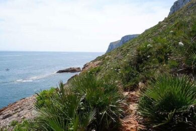 Paisaje Cova Tallada